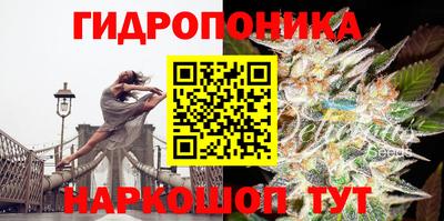 молекула духа Бийск